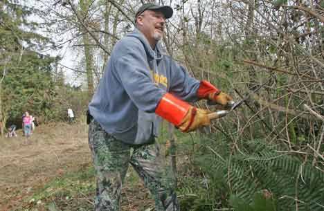 Volunteer Cris LeCompte chops down a blackberry bush at the site for the new off leash dog park next to Morrill Meadows Park