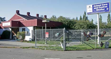 The Kent Animal Care and Control Shelter is owned and operated presently by King County. But that will change in coming months.