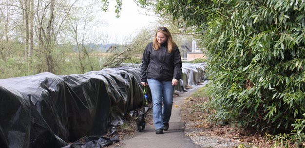 Caitlin Brown and her dog Dexter walk past giant sandbags along the Green River Trail in Kent. King County is considering a proposal to pay 75 percent of the cost to remove the sandbags with the cities of Kent