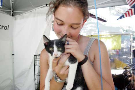 Clarissa Huson holds a kitten up for adoption from the King County Animal Control Center at the Cornucopia Street Fair.