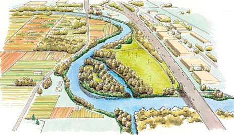 This drawing shows the new Green River channel to be constructed at Riverview Park in Kent to improve salmon habitat.
