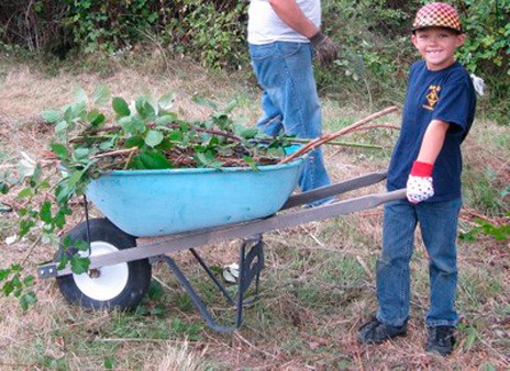 Green Kent stewards are wanted to volunteer for projects at Kent parks and open spaces.