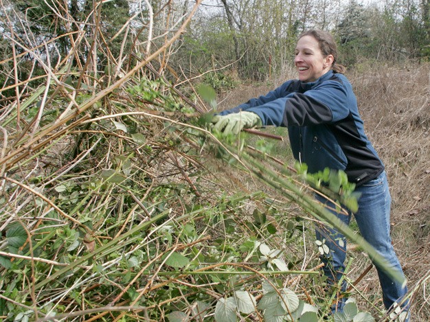 Terry Hooks helps gather brush last year at the new Morrill Meadows Off-leash Dog Park on Kent's East Hill. City parks officials are looking for volunteers to help with more projects at the park May 14.