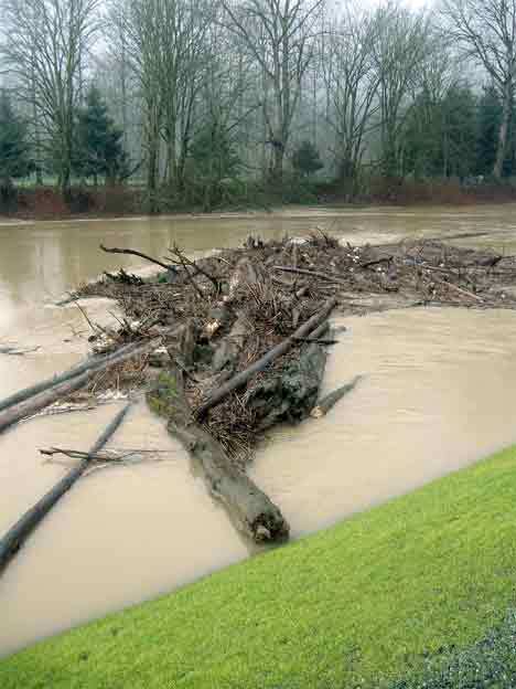 Debris piles up along the Riverbend Golf Course during flooding of the Green River in January 2009.