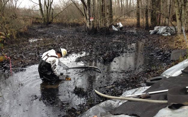 State crews clean up an oil spill on Monday in Kent on a wetland off of South 216th Street