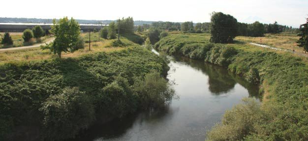 The King County Flood District approved a $1.6 million grant to help with salmon recovery projects along the Green River.