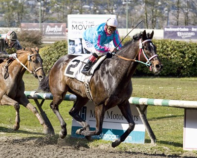Noosa Beach with Gallyn Mitchell riding wins the George Royal Stakes at Hastings Racecourse in Vancouver
