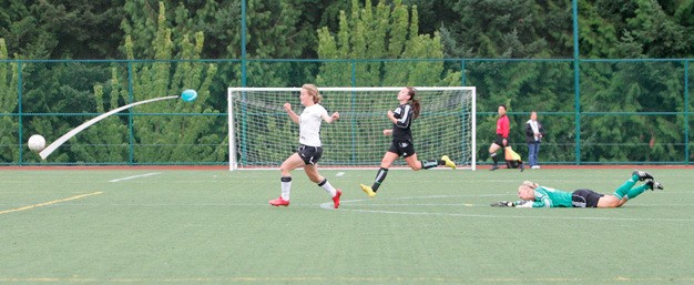 The city of Kent plans to replace the synthetic turf at Wilson Playfields next year. The cost is estimated at $1.5 million.