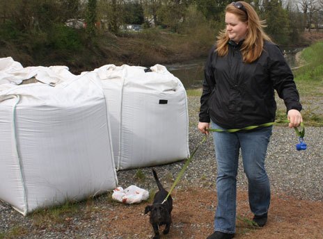 Caitlin Brown and her dog Dexter check out giant sandbags along the Green River Trail in Kent. Kent city officials say the sandbags will be removed by late summer.