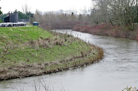 A levee along the Green River near the Riverbend Golf Course in Kent.