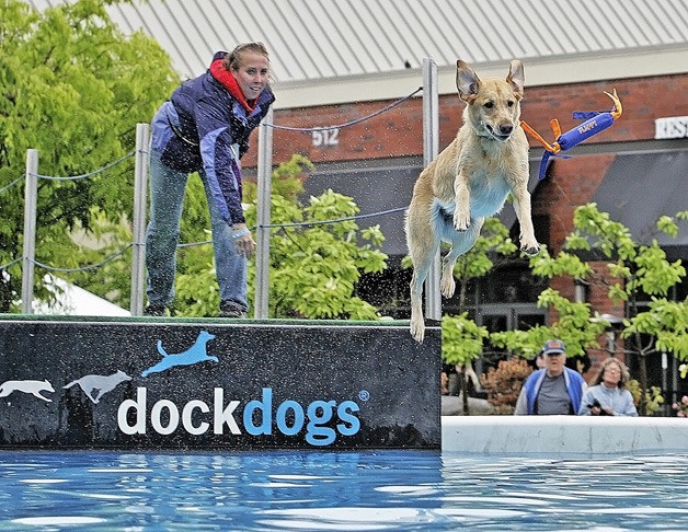 Sandy Metzger and her dog Skylee compete in the Big Air WAVE competition Saturday