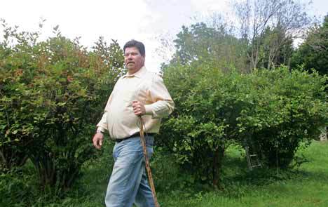 Project Manager for Blueberry Cottages J.B. Ruth walks by the cluster of blueberry bushes Tuesday