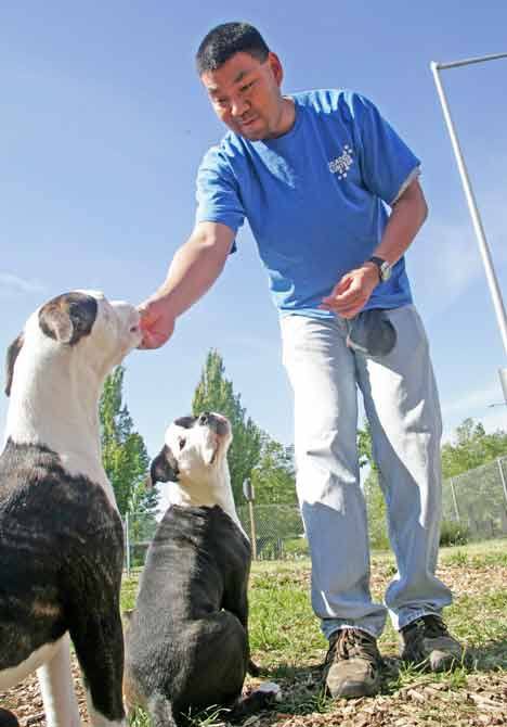 Kent, other cities, move to new animal-control program through King County  | Kent Reporter