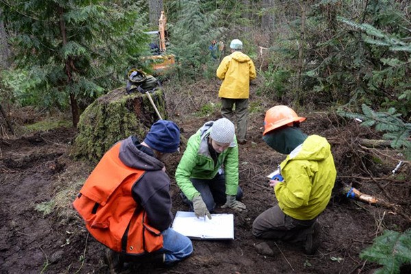 Green River College forestry students work in the field. The college's Washington Forestry Training Initiative recently received a nearly $1 million grant from the National Science Foundation.