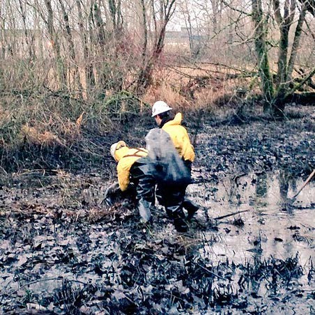 Crews work to clean up oil dumped on a private wetland in the Kent Valley near South 216th Street