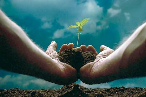 The City of Kent has many ways you can acknowledge Earth Day - and volunteer to make public spaces greener.