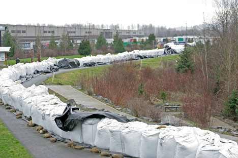 Giant sandbags line the Green River levee at Three Friends Fishing Hole in late December. The city of Kent is getting the levees evaluated by private firms to ensure flood protection and to meet federal standards for certification.