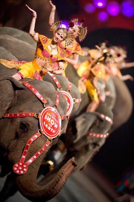 Feld Entertainment will drop elephants from its circus shows by 2018.