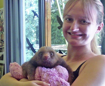 Kent resident Alanah Buss travelled to a sloth sanctuary in Costa Rica to help care for injured sloths for two weeks.