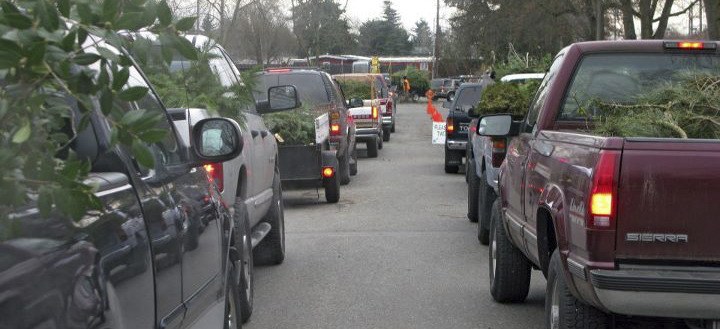 Trucks line up last weekend at Kent's Russell Road Park during a free wood debris recycling event to handle trees knocked down during the snow and ice storms.