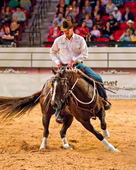 Australian native Clinton Anderson will demonstrate his techniques to train horses during his Walkabout Tour July 16-17 to the ShoWare Center in Kent.
