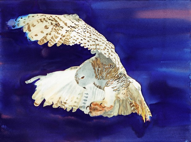 Cheryl Long's Snowy Owl is an award-winning work.