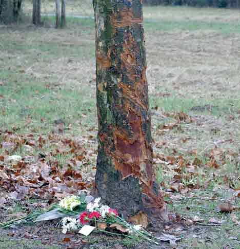 The crash site where Kent-Meridian student Dorian Tursic died Sunday was decorated with a small bouquet Monday morning.