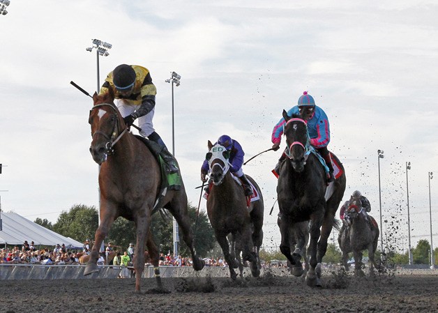 Awesome Gem (left) edges clear of Noosa Beach (right) in the 76th running of the $200