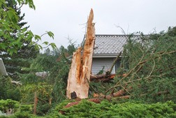 Lightning struck a tree Thursday night in the 21500 block of 121st Place Southeast.