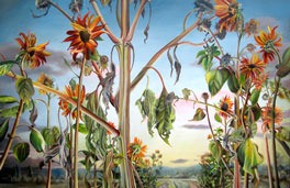 Kent's Centennial Center Gallery