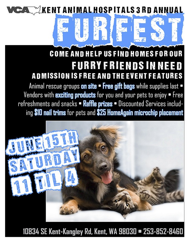 The VCA Kent Animal Hospital's third annual Furfest returns June15.