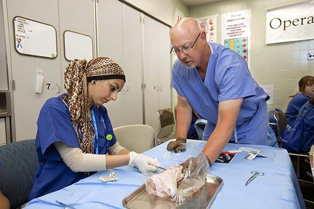 Kent’s Salma Ramadan practices her suturing technique on a pig’s foot during the annual MultiCare Nurse Camp. Graham Barr