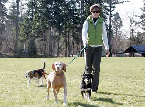 Debbie Herron walks several dogs Feb. 17 on East Hill property slated for Kent's off-leash dog park.