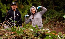 The Green Kent program is looking for volunteers to help take care of city parks.