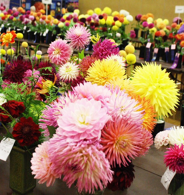 There were more than 3