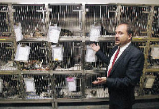 King County Animal Shelter Manager Al Dams talks about cat kennels while giving a media tour of the shelter in October after a report criticized conditions in the shelter.