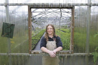 Jennifer Harrell poses in the window of a greenhouse at the city’s nursery