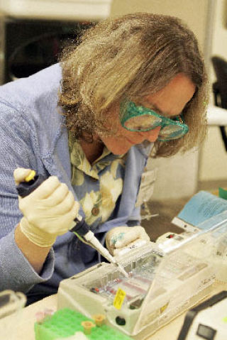 Kentridge High School science teacher Madonna Brinkmann participates in a lab experiment during the Fred Hutchinson Cancer Research Center Science Education Partnership workshop last week. Brinkmann is one of about 30 area teachers to participate in the workshop