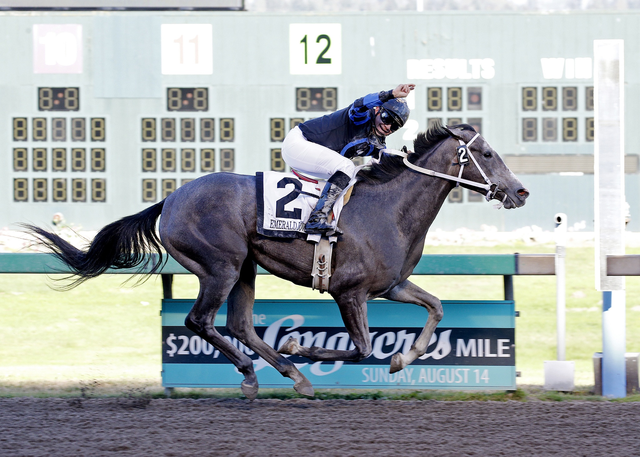 Blazinbeauty and jockey Isaias Enriquez score the victory by six lengths in the 76th running of the Joe Gottstein Futurity for 2-year-olds on Sunday’s closing day card at Emerald Downs. Courtesy Emerald Downs photo