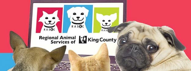 Kent’s King County’s Regional Animal Services costs could go up