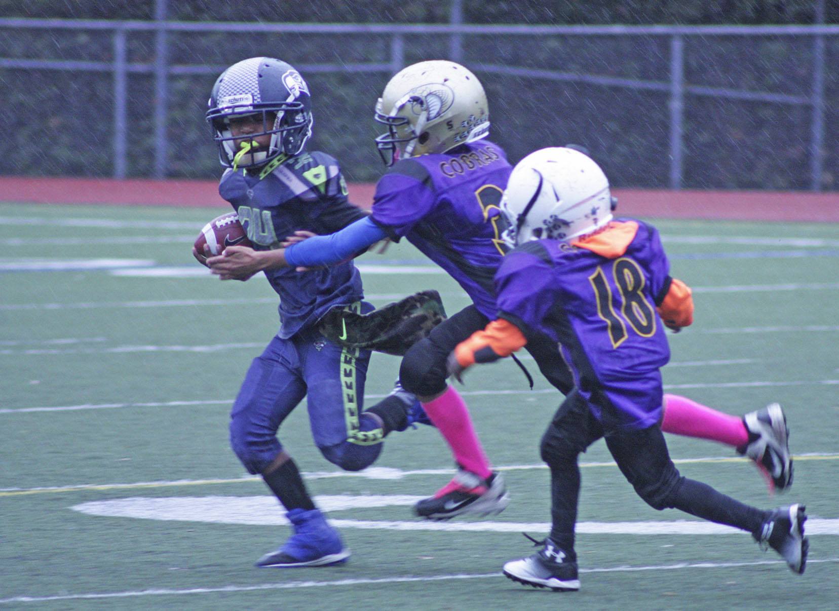 The Kent Cobras' J'Isaiah Mitchell (3) and Aalonzo Coe (18) pursue the Seattle Junior Seahawks' Marquisse Belgarde during pee wee youth division football play at French Field last Saturday. MARK KLAAS