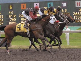 The three lead horses barrel down the stretch toward the wire in Sunday’s Longacres Mile at Emerald Downs. Jockey Jennifer Whitaker and Wasserman (4) come up on the outside