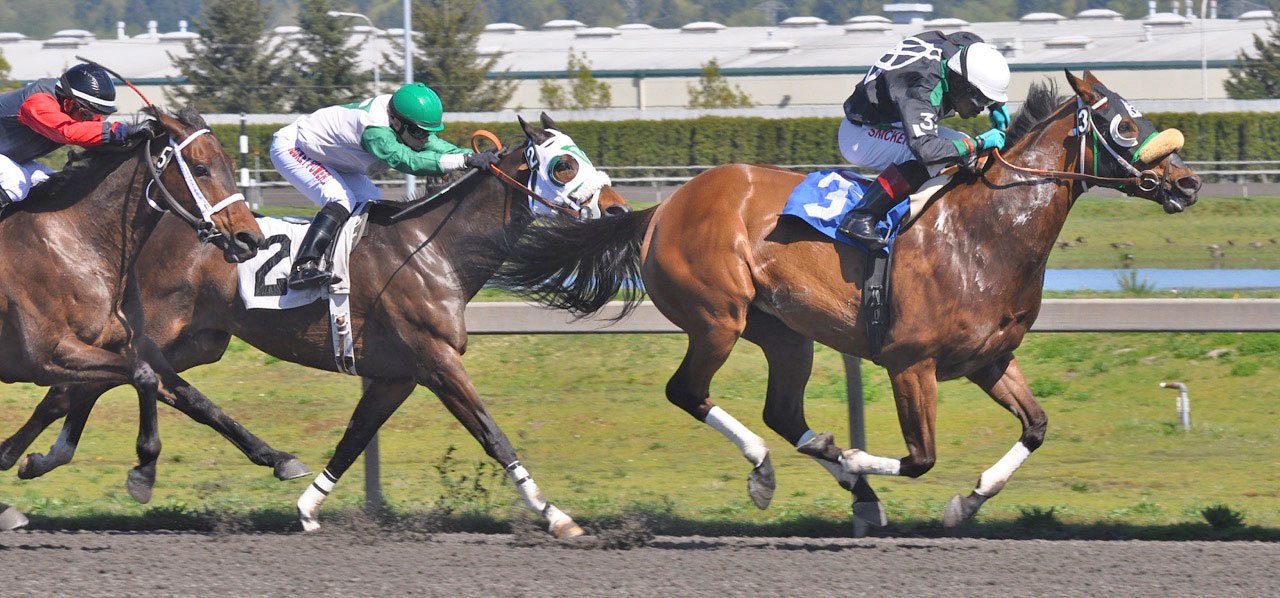 Forbidden Kee and jockey Rocco Bowen lead the field in the first race on opening day at Emerald Downs last April. The track opens for Thoroughbred racing April 8, the first of 70 live dates at the Auburn oval. RACHEL CIAMPI, Auburn Reporter