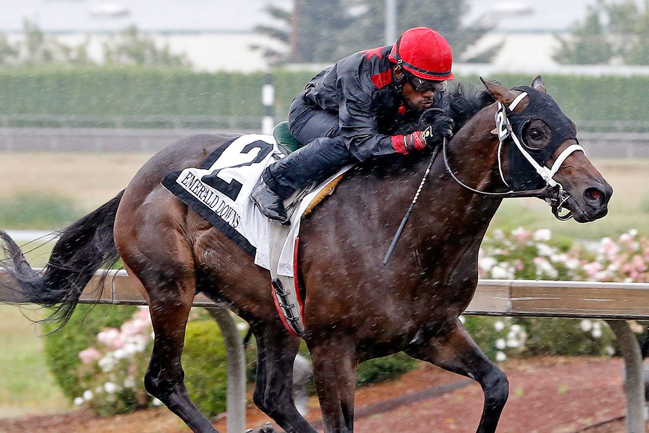 Battle brews for Washington Bred of the Year | Emerald Downs