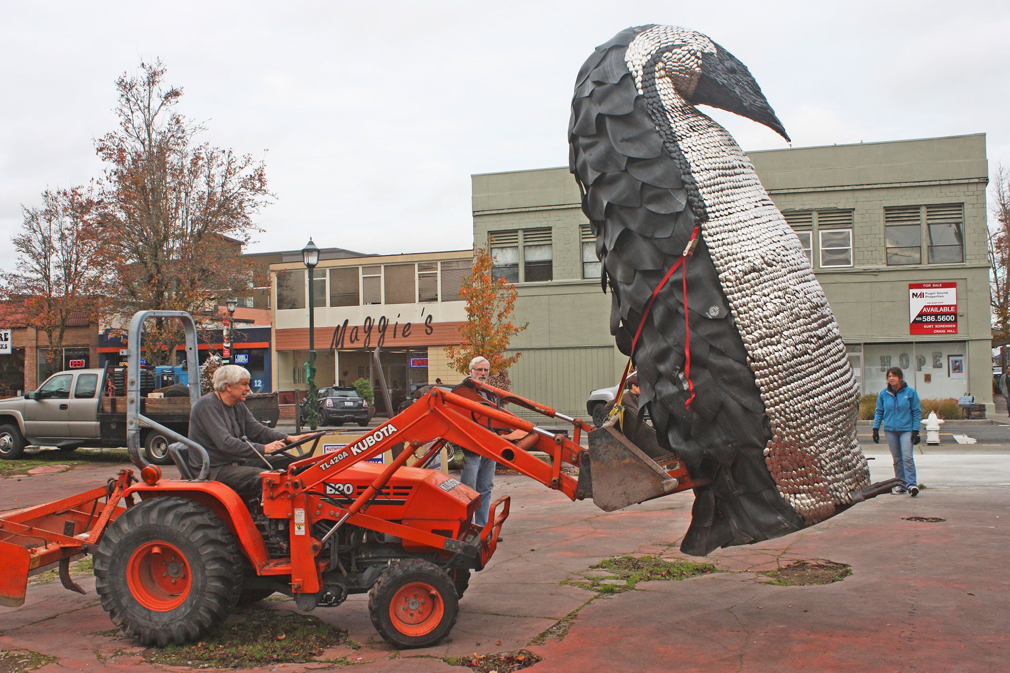 Greg Bartol, driving a small loader, carefully hoists and guides his strapped penguin sculpture into a new spot – at the corner of West Meeker Street and Second Avenue South. MARK KLAAS, Kent Reporter