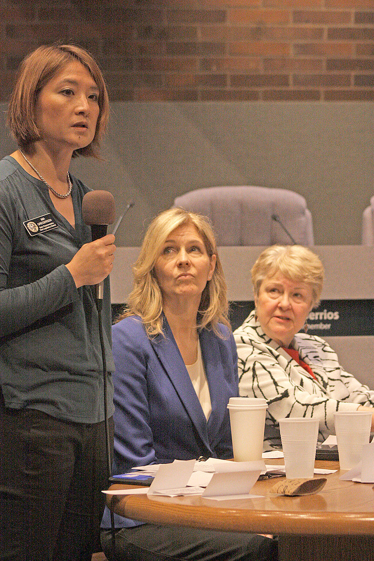 State Rep. Mia Gregerson, D-SeaTac, answers a question as Rep. Tina Orwell, D-Des Moines, middle, and Sen. Karen Keiser, D-Kent, listen during the town hall meeting at Kent City Hall last Saturday. MARK KLAAS, Kent Reporter