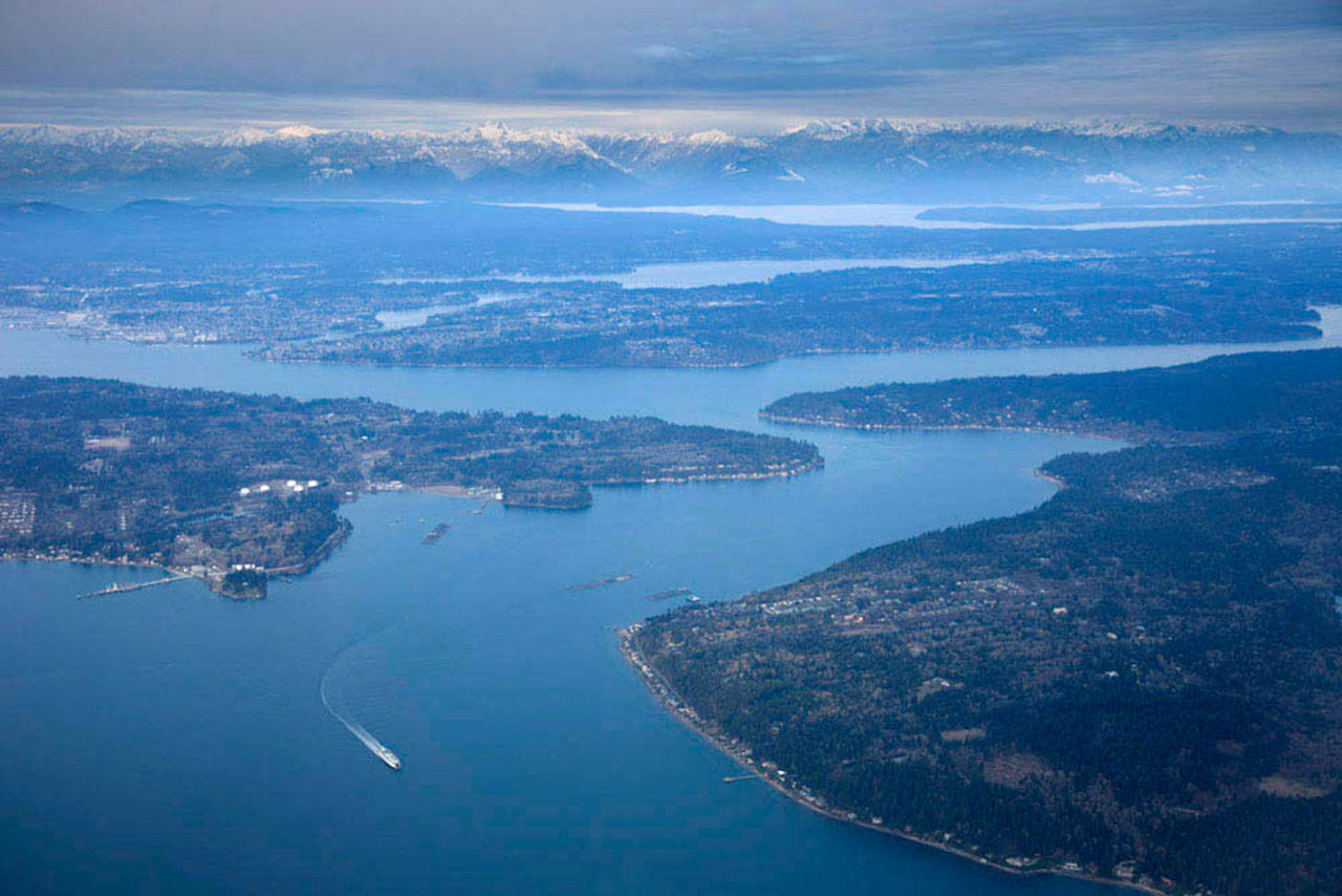 The benefits to our health and the health of everything that lives in the Puget Sound are clear. It only takes a little sewage contamination to close a shellfish bed or make people sick. COURTESY PHOTO