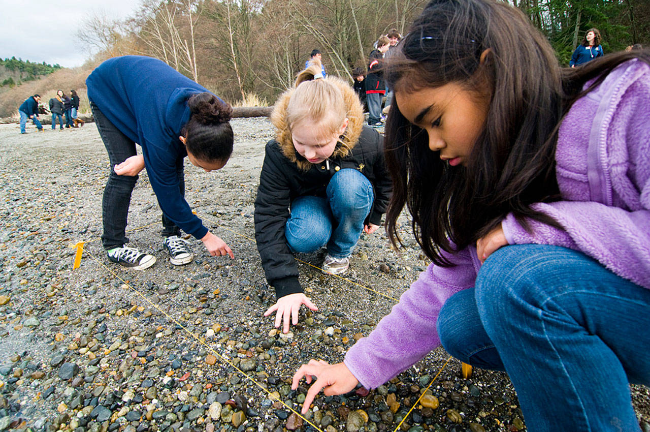 Elementary students from the Kent School District schools explore ecosystems with Woodland Park Zoo education staff during their Wild Wise: Ready, Set, Discover program. COURTESY PHOTO, Ryan Hawk/Woodland Park Zoo