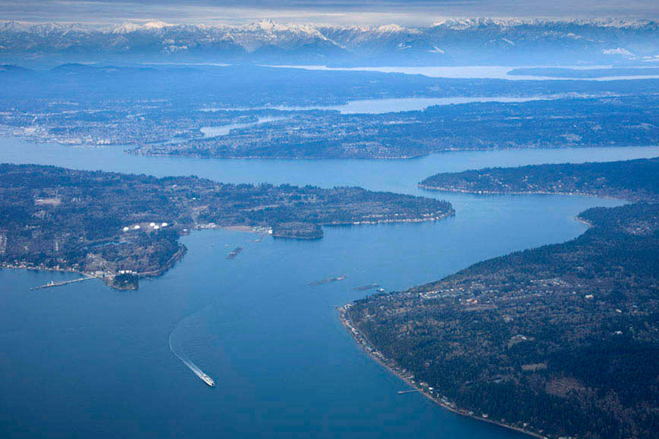 We need to do more to clean Puget Sound | Being Frank