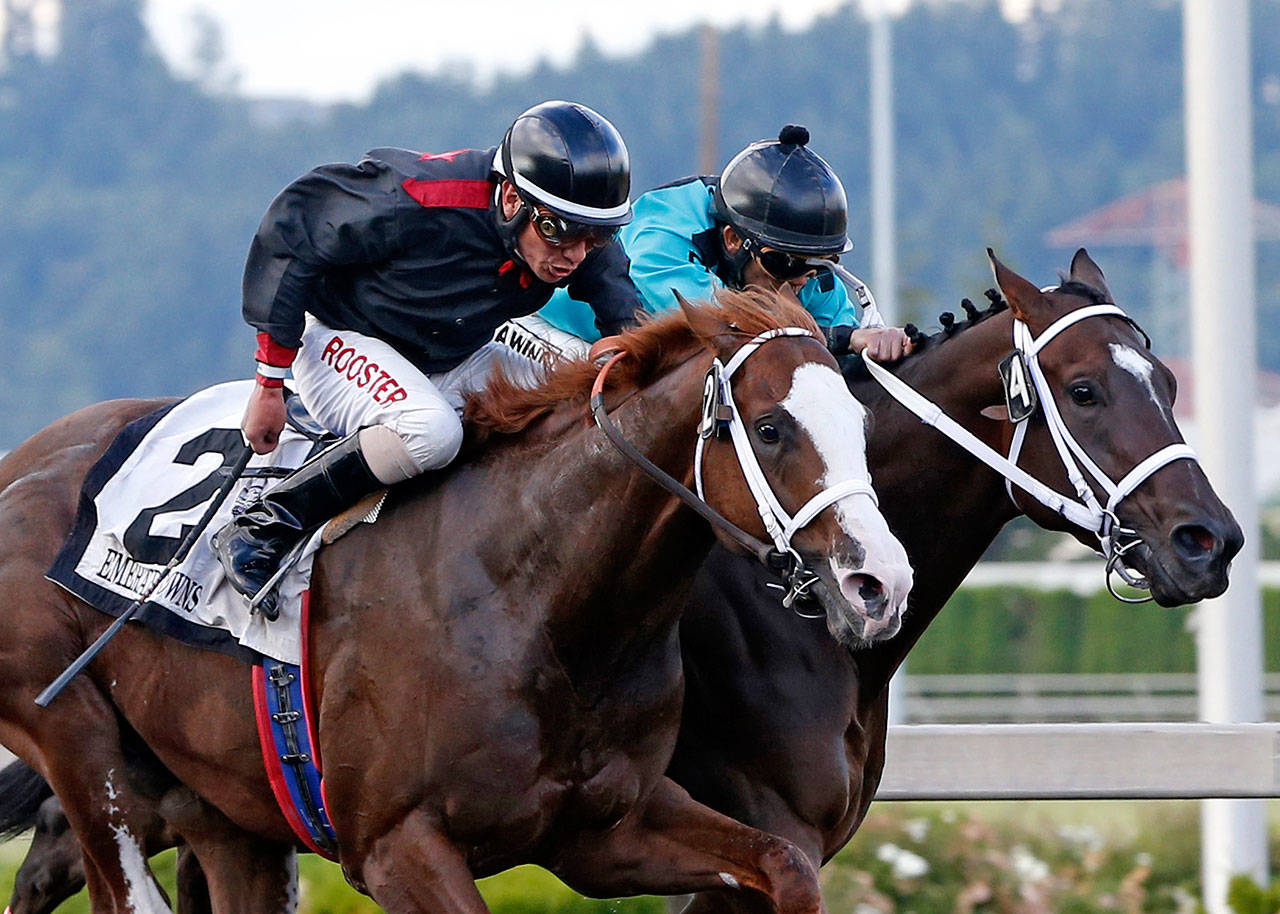 Barkley, left, nails archrival Mach One Rules in the final jump for a head victory in last year’s $50,000 Seattle Slew Stakes. The two renew their rivalry in an allowance race Saturday at Emerald Downs. COURTESY PHOTO